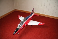 hawk02