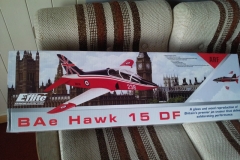 hawk17