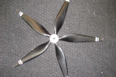 5blatt