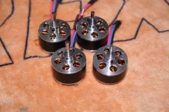 quadrobaubericht_16