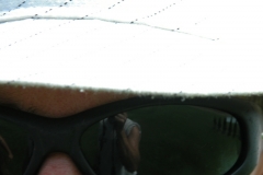 photo20.08.2010-017