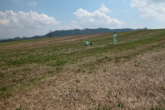photo20.08.2010-019