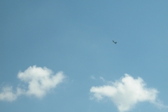 photo20.08.2010-045